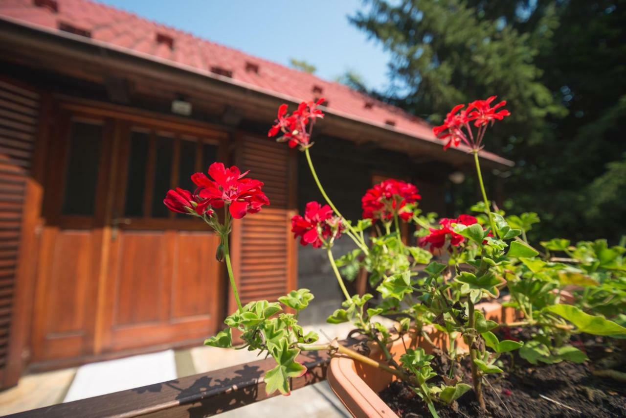 Cabin In The Woods Vukelic Stubicke Toplice Exterior photo